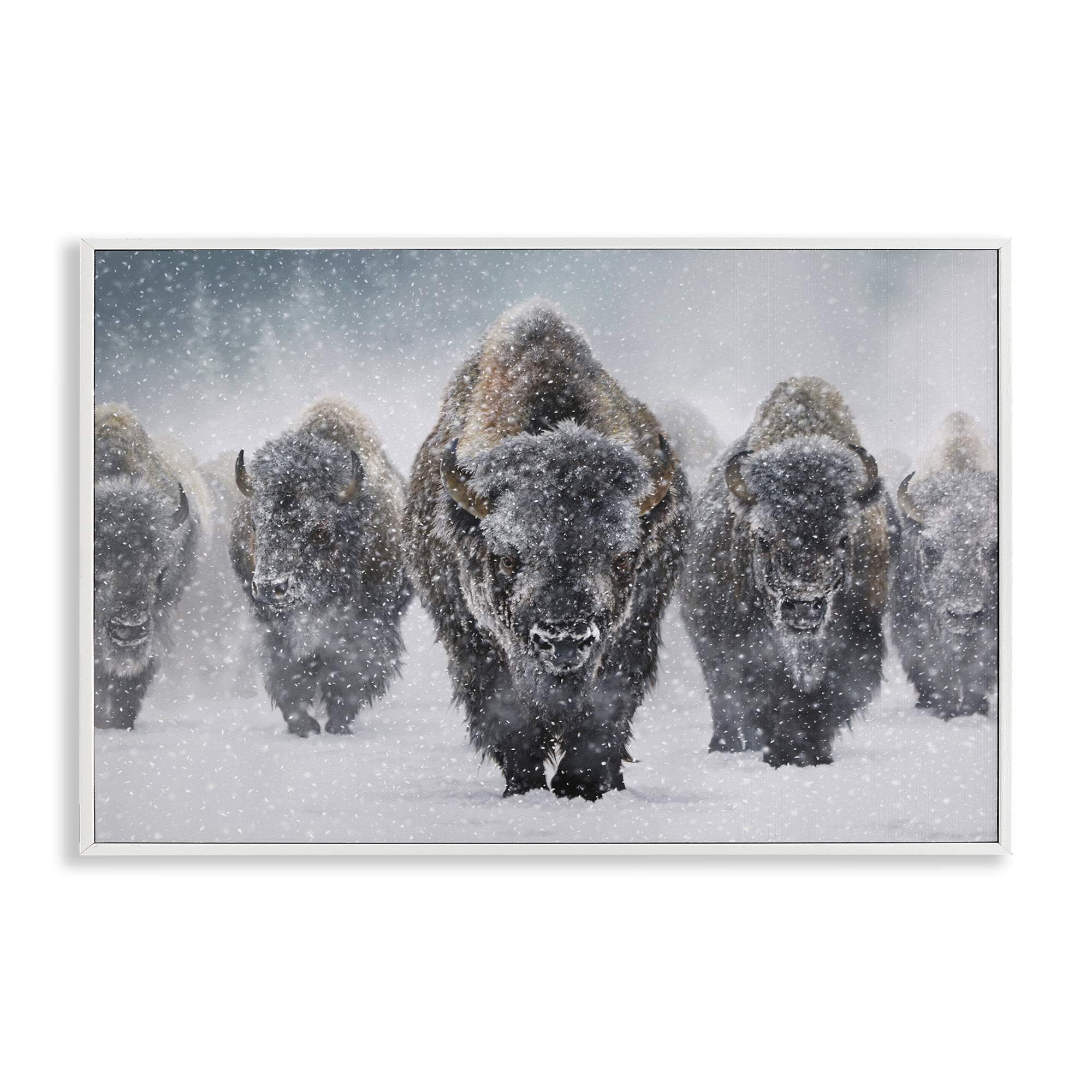 Stupell Industries Indomitable Bison in Snow Animals Photography White Framed Art Print Wall Art, 18 x 12