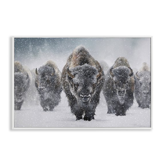 Stupell Industries Indomitable Bison in Snow Animals Photography White Framed Art Print Wall Art, 30 x 20