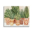 thumbnail image 1 of Stupell Industries Indoor Plant Scene Boho Pattern Pots Living Room, 30 x 24,Design by Cindy Jacobs, 1 of 5