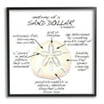 thumbnail image 1 of Stupell Industries Informative Sand Dollar Learning Chart Nautical Education Graphic Art Black Framed Art Print Wall Art, Design by Dishique, 1 of 5