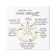 thumbnail image 1 of Stupell Industries Informative Sand Dollar Learning Chart Nautical Education Graphic Art Gallery Wrapped Canvas Print Wall Art, Design by Dishique, 1 of 7