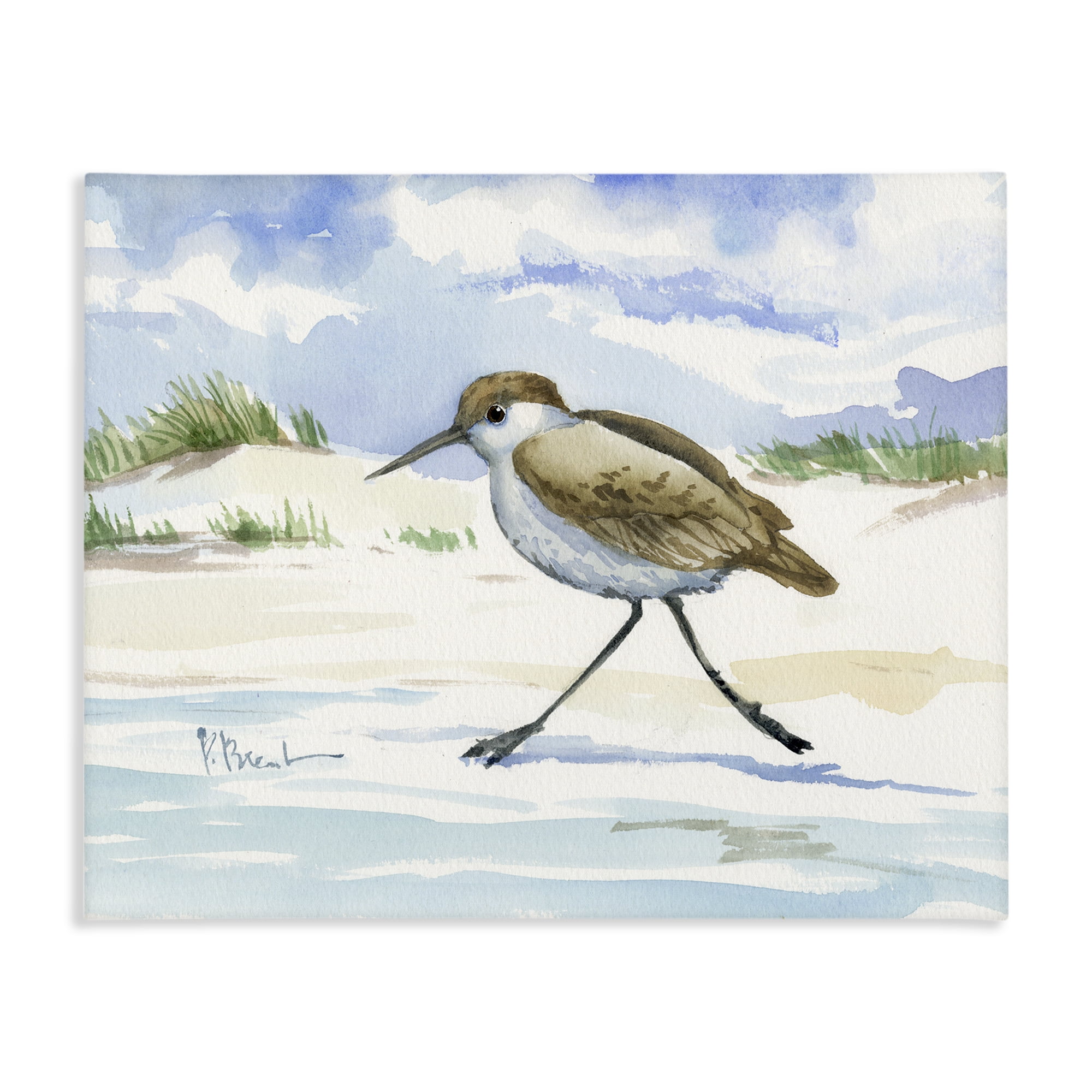 Stupell Industries Inlet Beach Sandpiper Running Canvas Wall Art, design by Paul Brent
