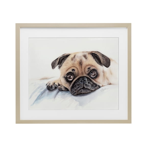 Innocent Pug Relaxing Brown Framed Print Under Glass, 21 x 17, Made In USA