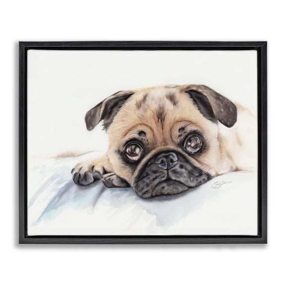 Innocent Pug Relaxing Black Floating Frame Canvas Art, 21 x 17, Made In USA