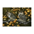 thumbnail image 1 of Stupell Industries Inquisitor Owls Autumn Branch Animals & Insects Painting Gallery Wrapped Canvas Art Print Wall Art, 24 x 16, 1 of 8