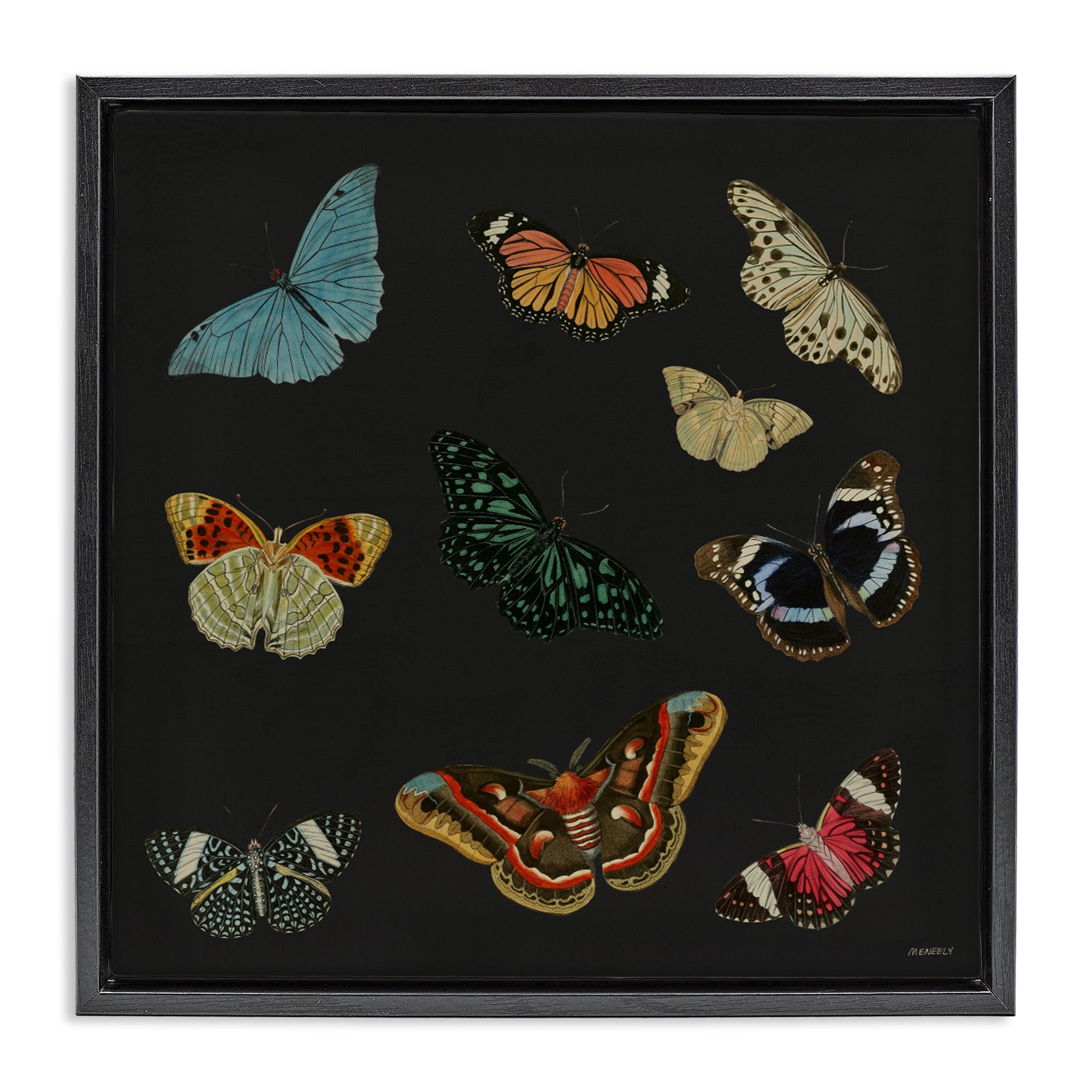 Stupell Industries Insects Group on Black Black Framed Floater Canvas Wall Art, design by Dan Meneely
