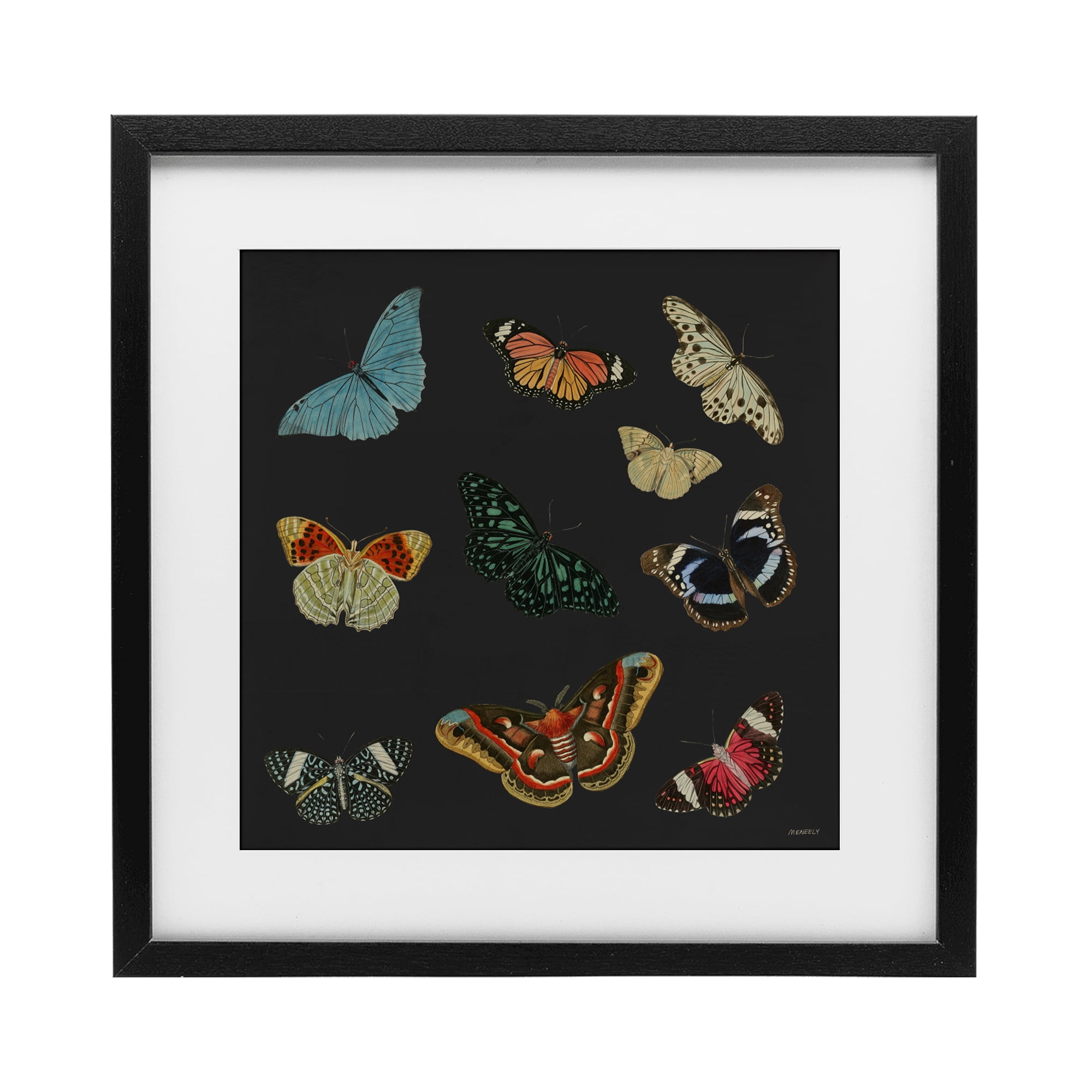 Stupell Industries Insects Group on Black Black Framed Print Under Glass, design by Dan Meneely