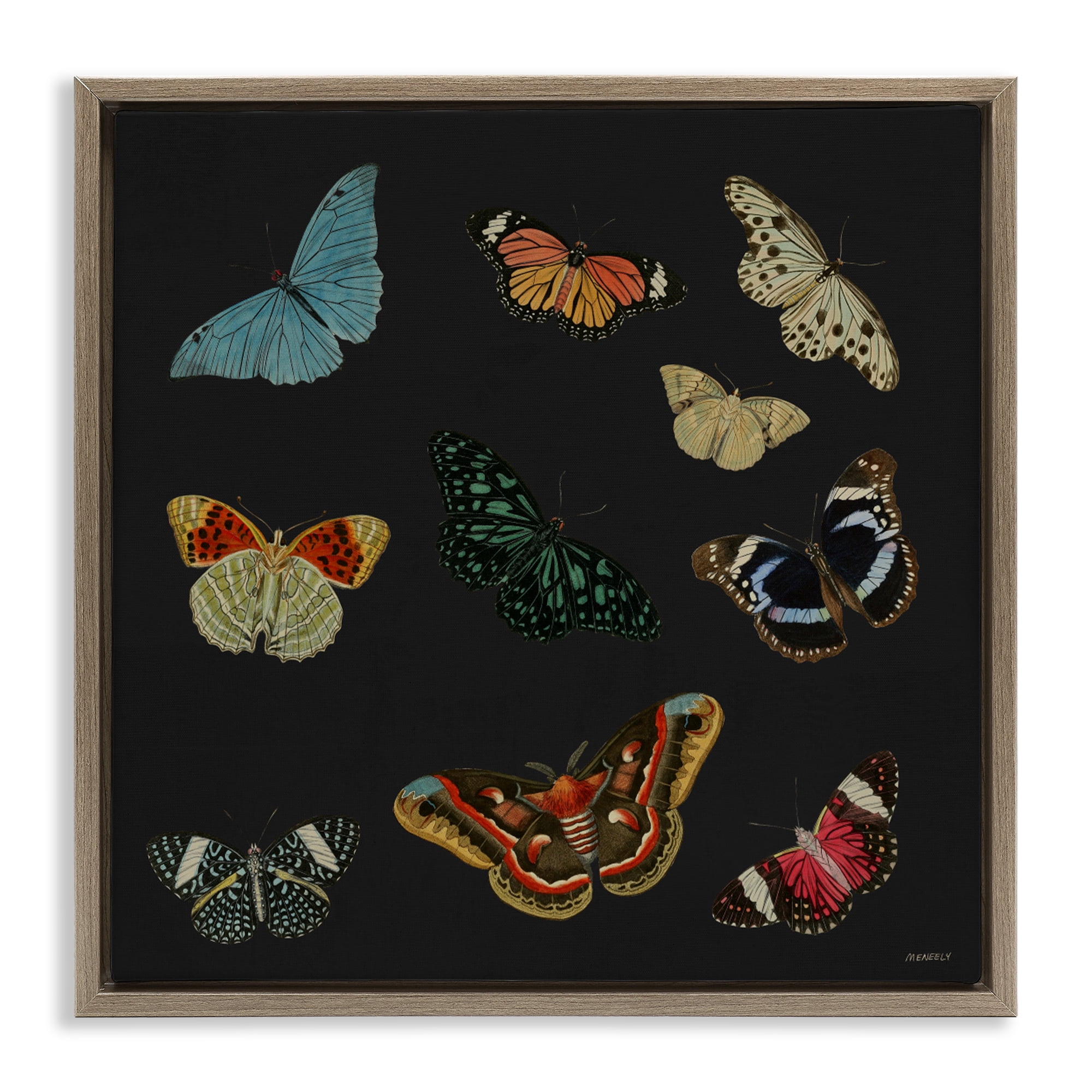 Stupell Industries Insects Group on Black Brown Framed Floater Canvas Wall Art, design by Dan Meneely