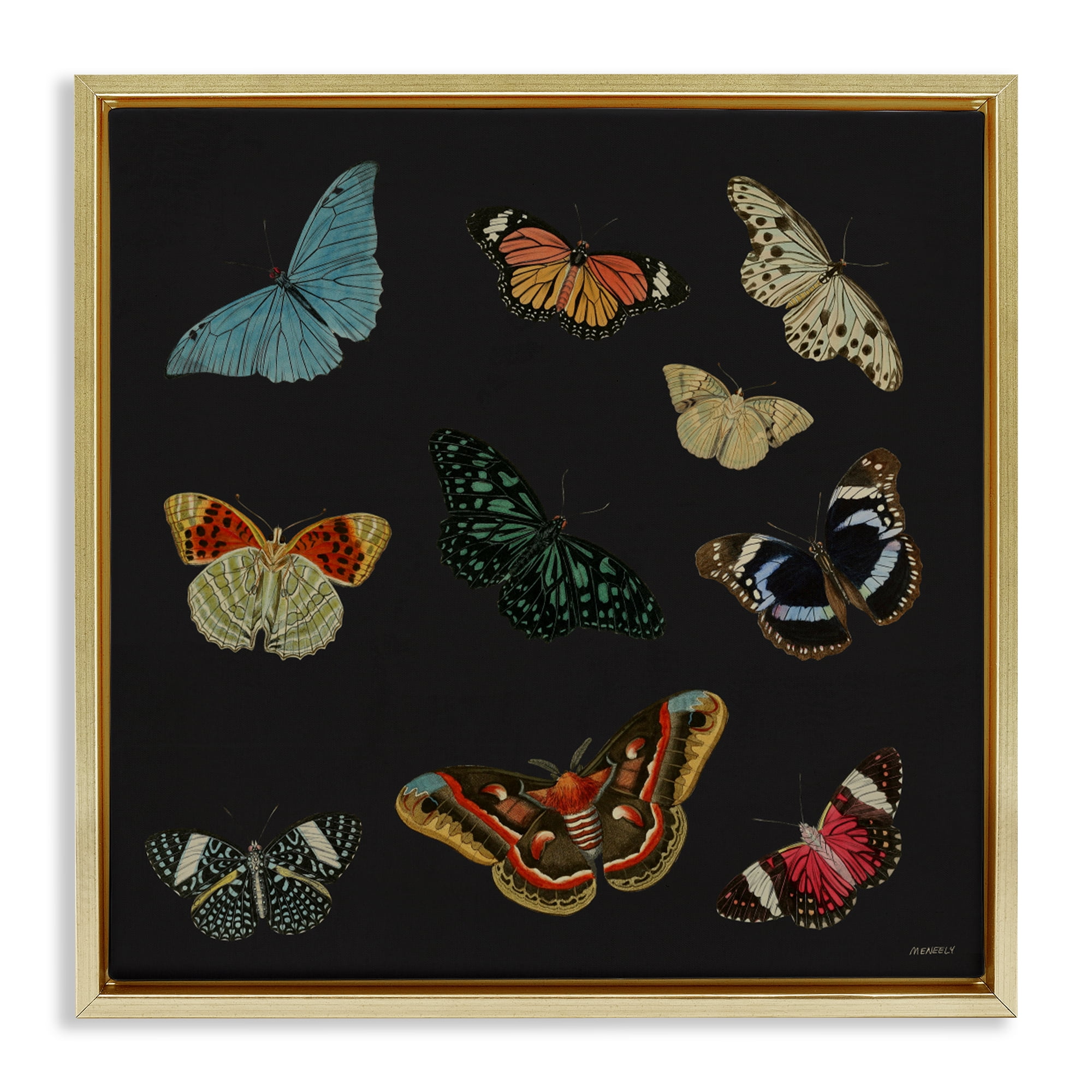 Stupell Industries Insects Group on Black Gold Framed Floater Canvas Wall Art, design by Dan Meneely