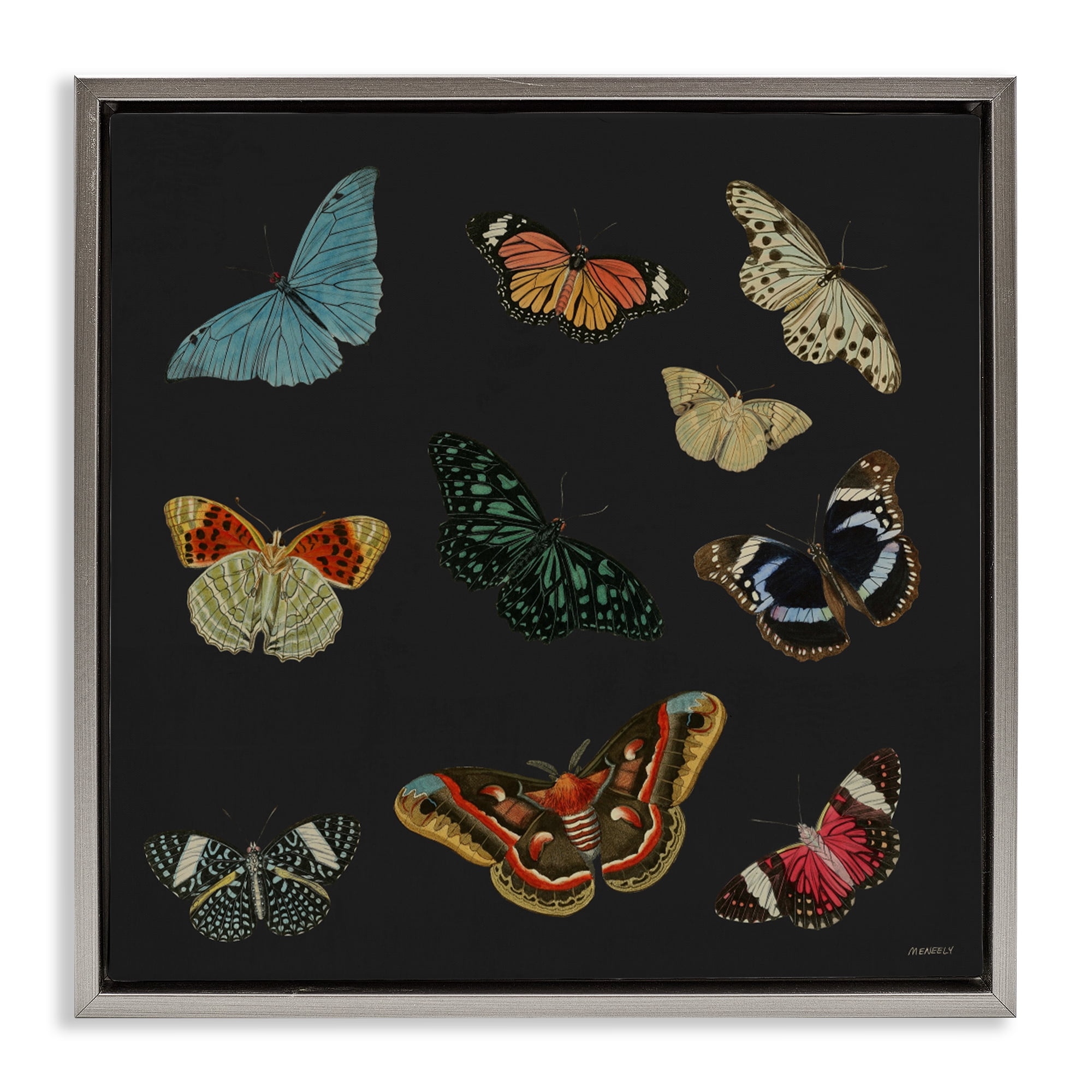 Stupell Industries Insects Group on Black Gray Framed Floater Canvas Wall Art, design by Dan Meneely