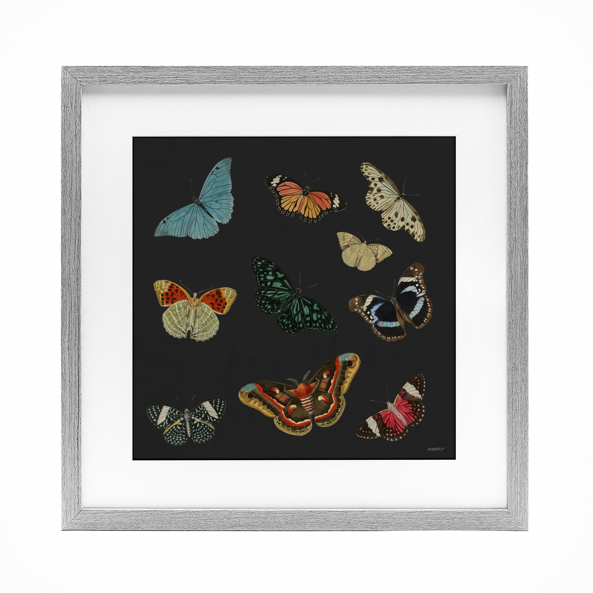 Stupell Industries Insects Group on Black Gray Framed Print Under Glass, design by Dan Meneely
