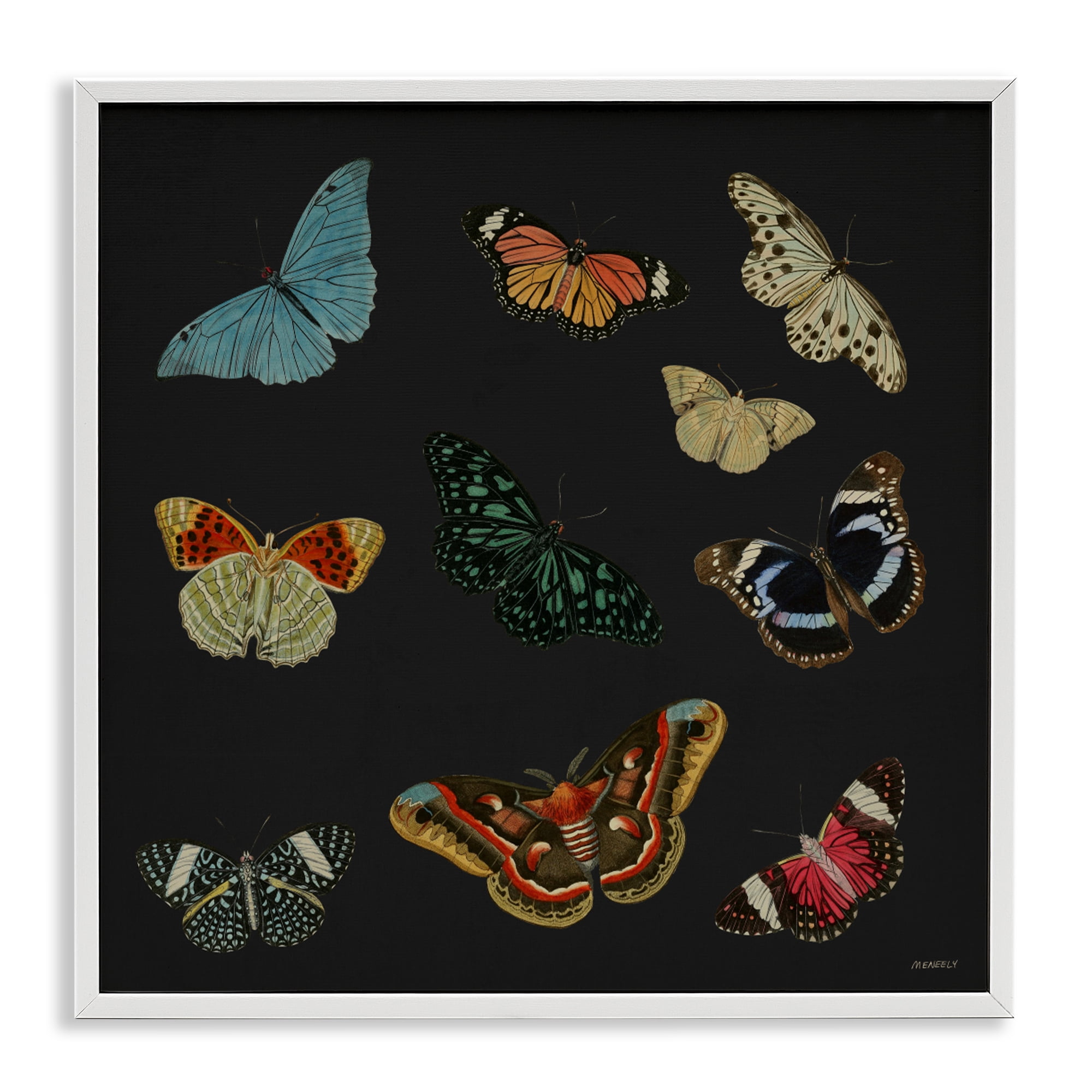 Stupell Industries Insects Group on Black White Framed Giclee Art, design by Dan Meneely