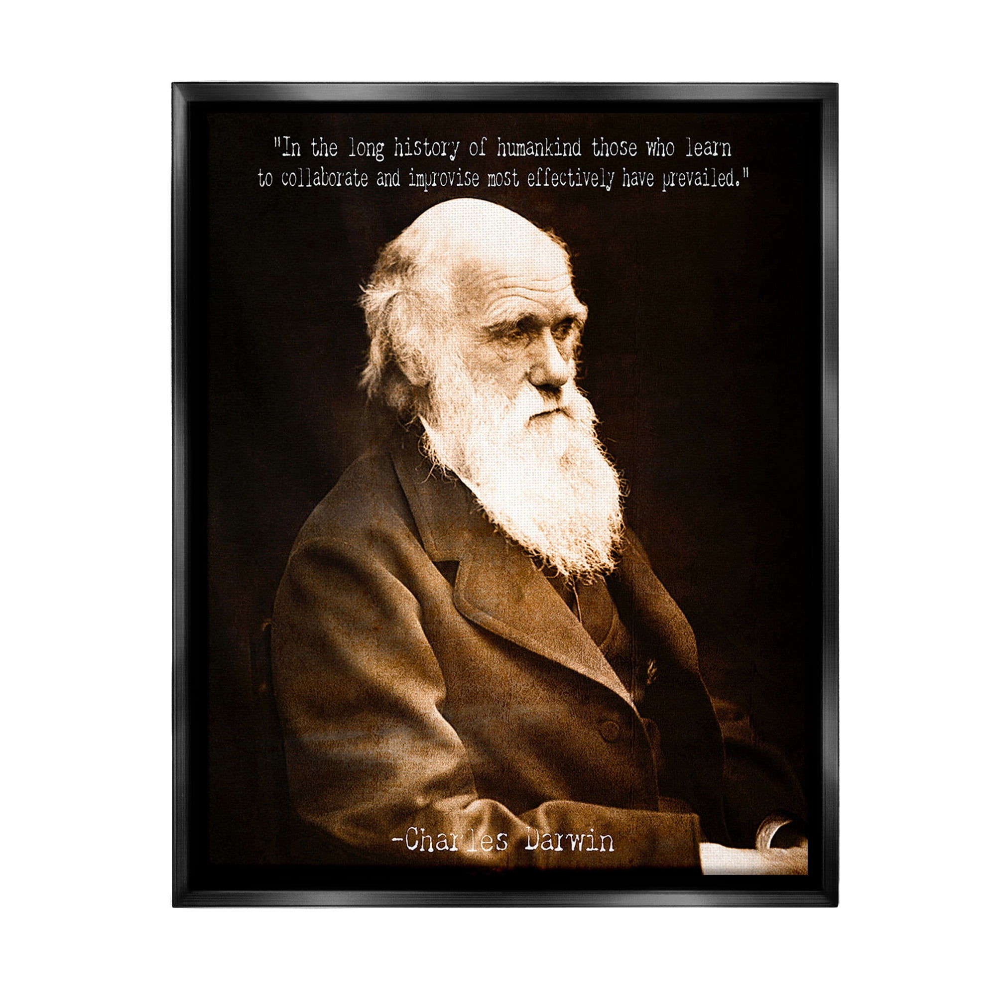 Stupell Industries Inspiring Darwin Quote Inspirational Painting Black Floater Framed Canvas Art Print Wall Art, 25 x 31
