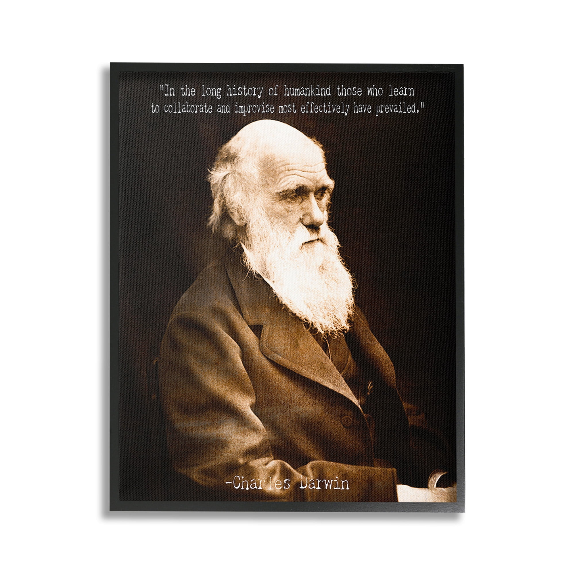 Stupell Industries Inspiring Darwin Quote Inspirational Painting Black Framed Art Print Wall Art, 24 x 30