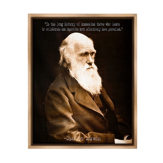 Stupell Industries Inspiring Darwin Quote Inspirational Painting Brown Floater Framed Canvas Art Print Wall Art, 17 x 21