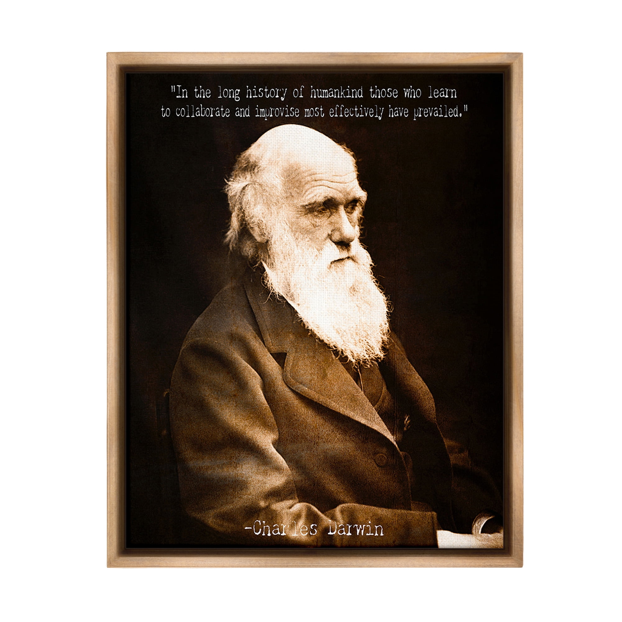 Stupell Industries Inspiring Darwin Quote Inspirational Painting Brown Floater Framed Canvas Art Print Wall Art, 25 x 31