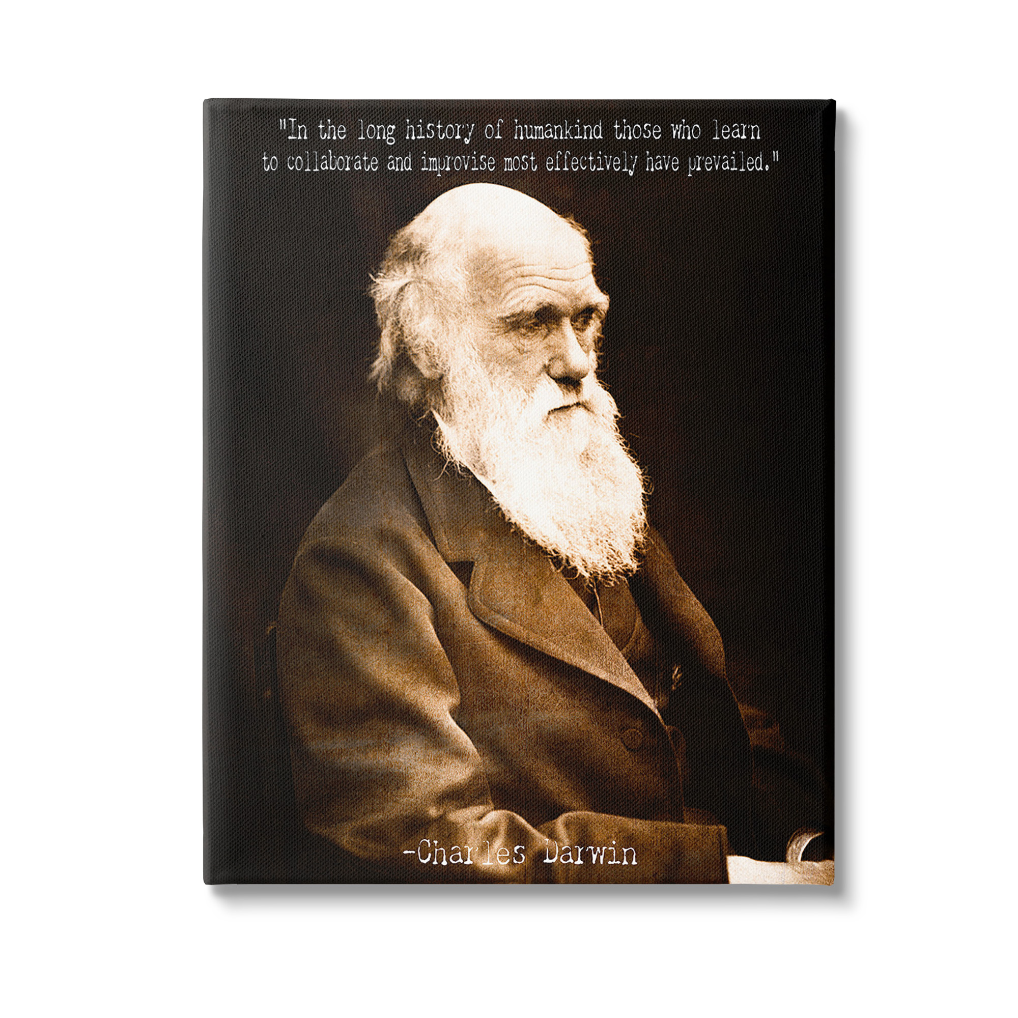 Stupell Industries Inspiring Darwin Quote Inspirational Painting Gallery Wrapped Canvas Art Print Wall Art, 30 x 40