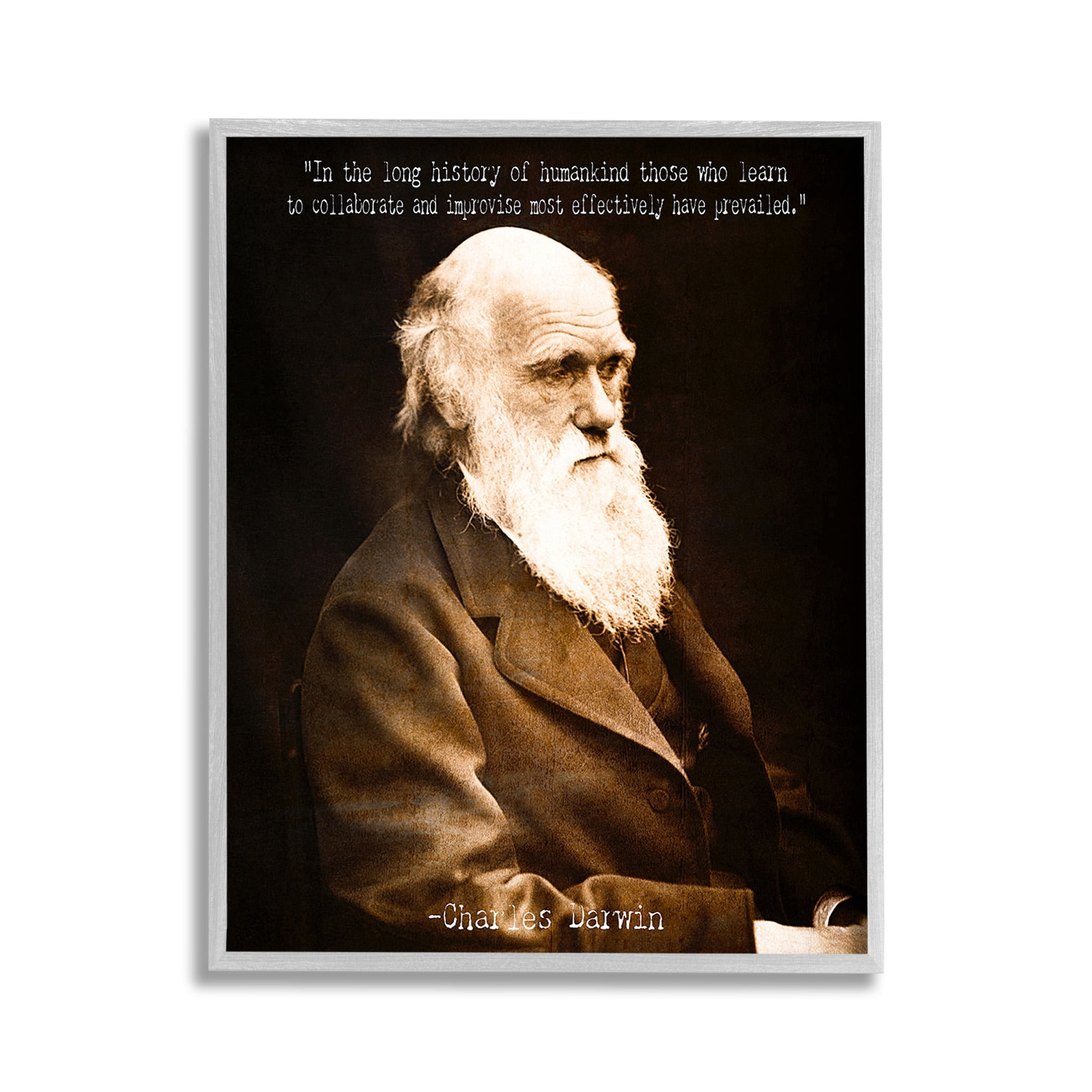 Stupell Industries Inspiring Darwin Quote Inspirational Painting Gray Framed Art Print Wall Art, 11 x 14