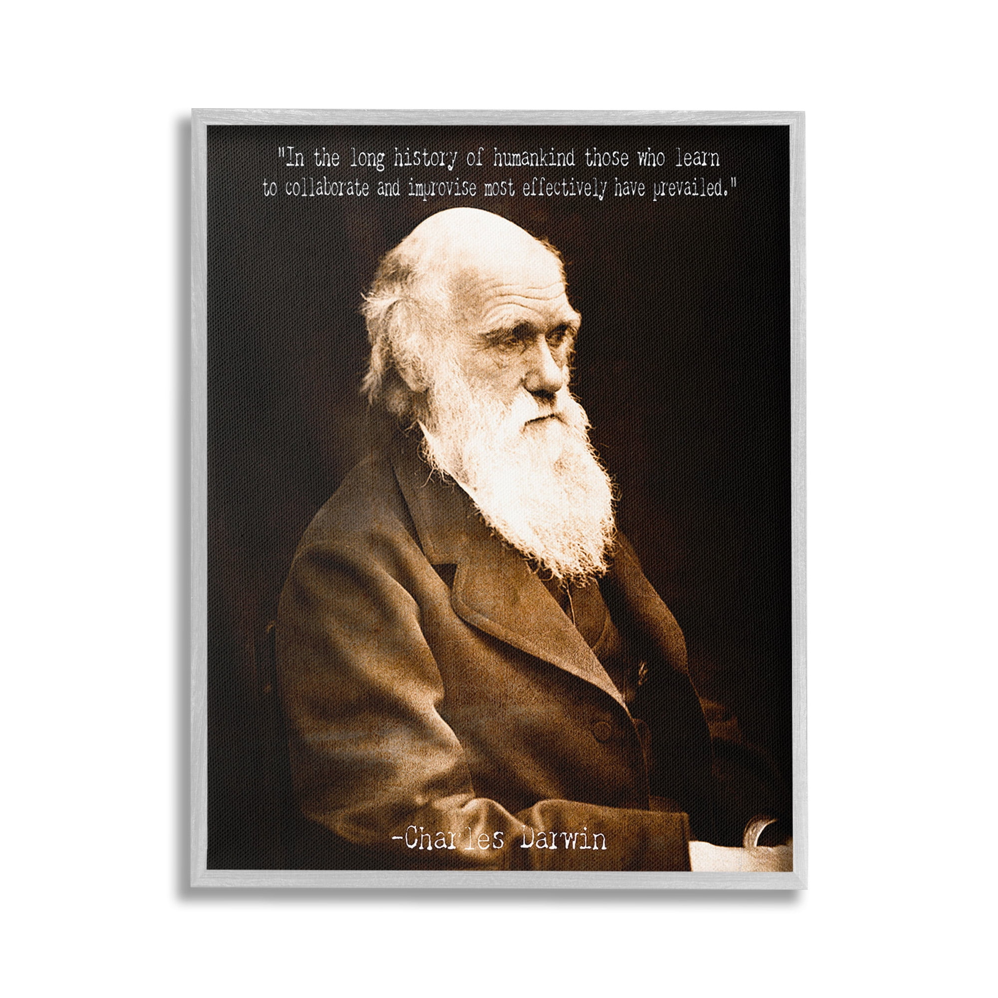 Stupell Industries Inspiring Darwin Quote Inspirational Painting Gray Framed Art Print Wall Art, 24 x 30