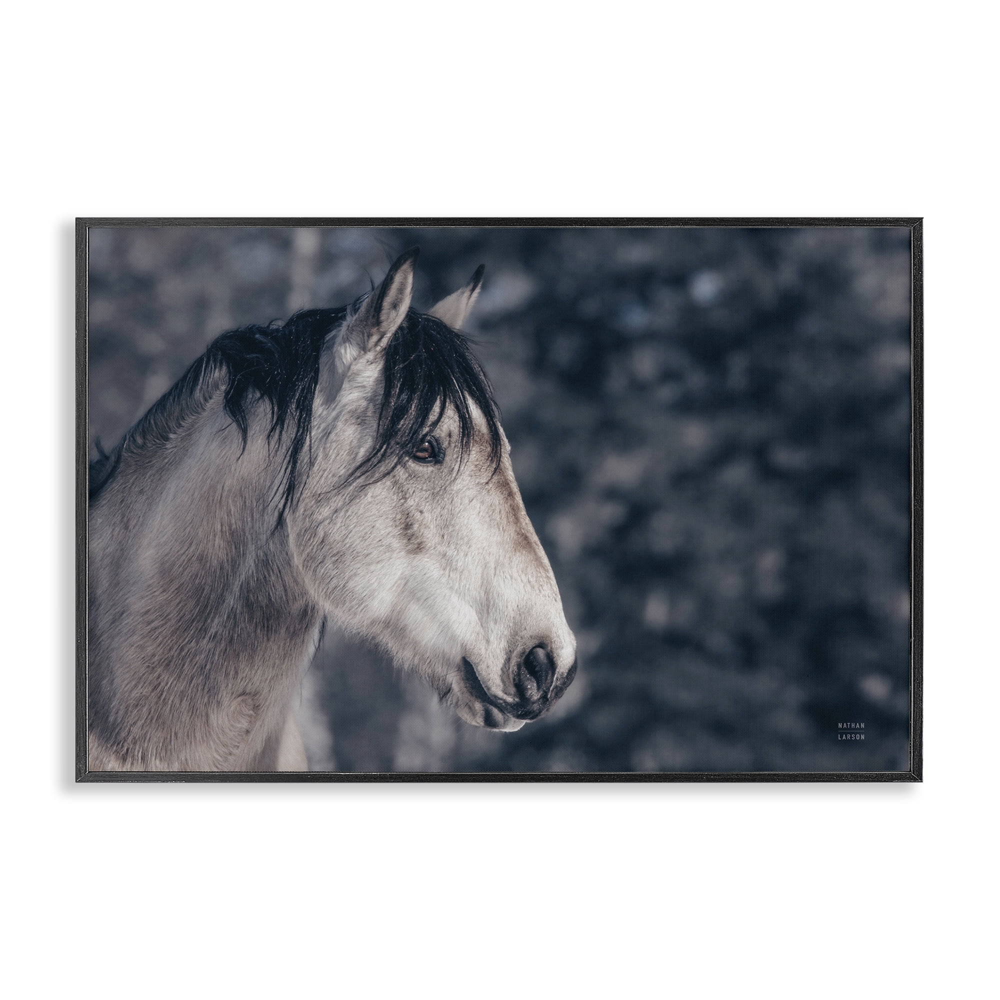 Stupell Industries Intense Gaze Stallion Animals & Insects Photography Black Framed Art Print Wall Art, 24 x 16