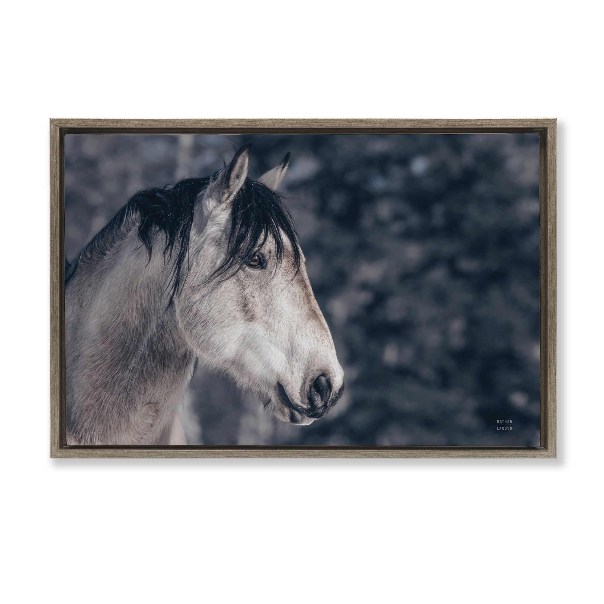Stupell Industries Intense Gaze Stallion Animals & Insects Photography Brown Floater Framed Canvas Art Print Wall Art, 25 x 17