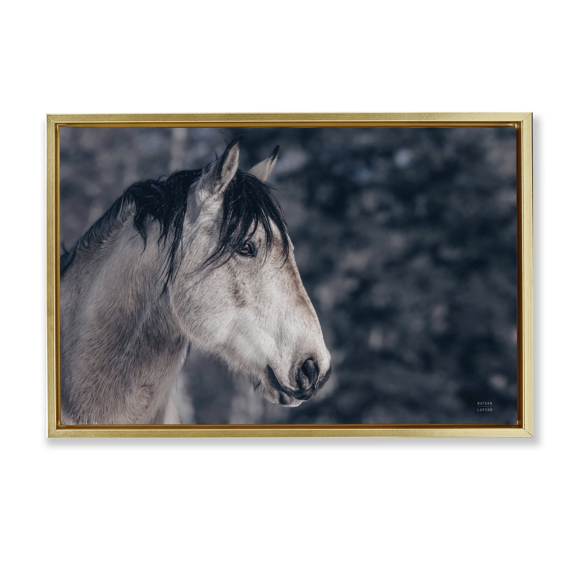 Stupell Industries Intense Gaze Stallion Animals & Insects Photography Gold Floater Framed Canvas Art Print Wall Art, 31 x 21