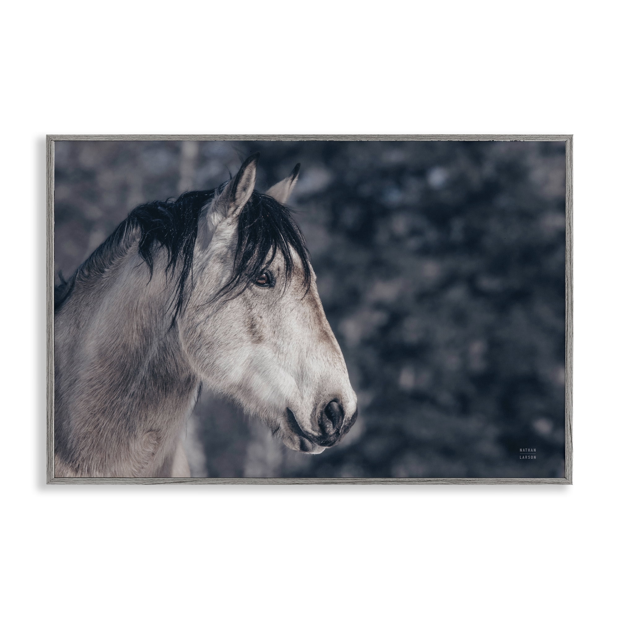 Stupell Industries Intense Gaze Stallion Animals & Insects Photography Gray Framed Art Print Wall Art, 18 x 12