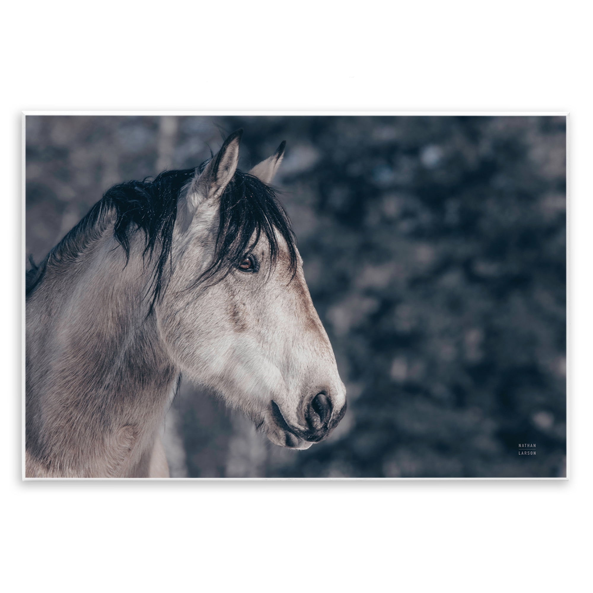 Rustic Brown and White Horse Photography Wall Art Plaque