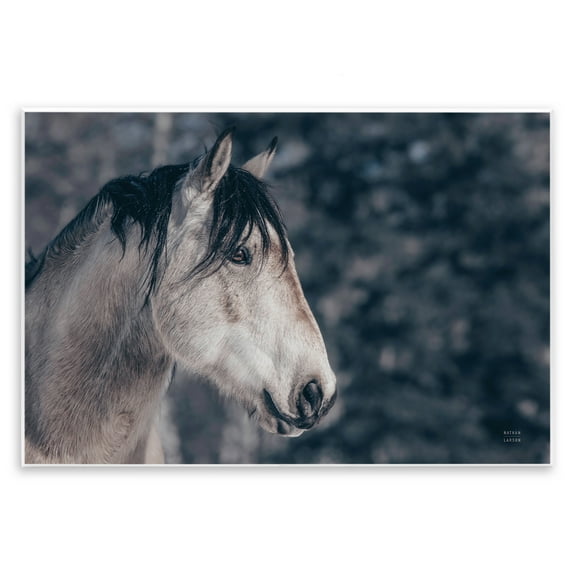 Stupell Industries Intense Gaze Stallion Animals & Insects Photography Unframed Art Print Wall Art, 15 x 10