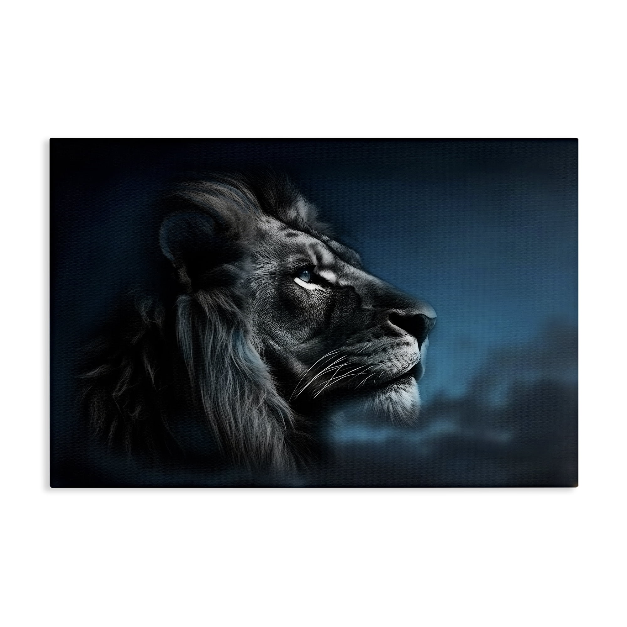 Stupell Industries Intense Gazing Lion Animals & Insects Painting Gallery Wrapped Canvas Art Print Wall Art, 30 x 20