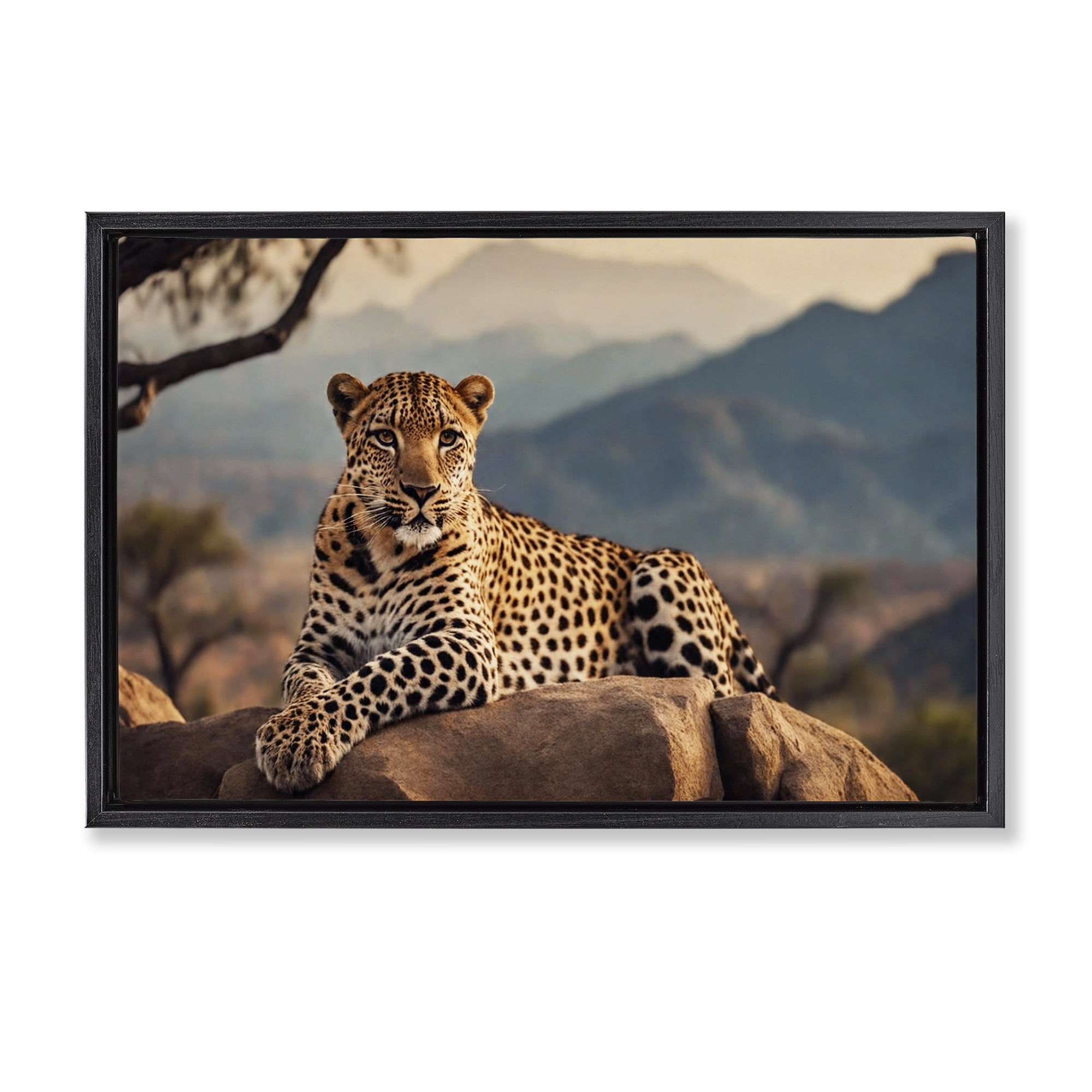 Stupell Industries Intense Watching Cheetah Animals Photography Black Floater Framed Canvas Art Print Wall Art, 31 x 21