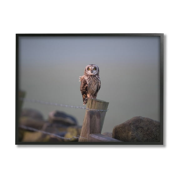 Stupell Industries Intensely Gazing Owl Perched Rural Fence Post Photograph Black Framed Art Print Wall Art, Design by James Dobson