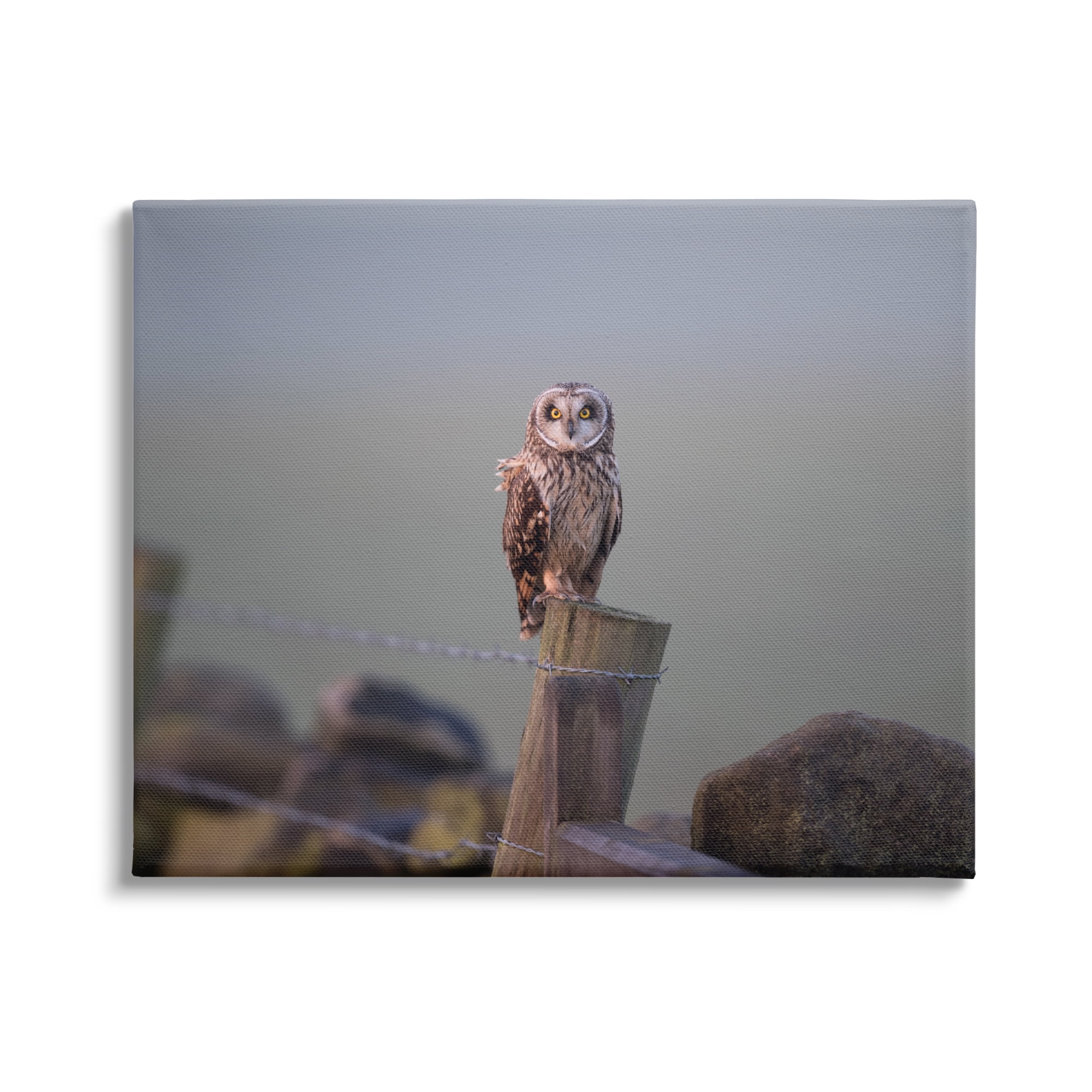 Stupell Industries Intensely Gazing Owl Perched Rural Fence Post Photograph Gallery Wrapped Canvas Print Wall Art, Design by James Dobson