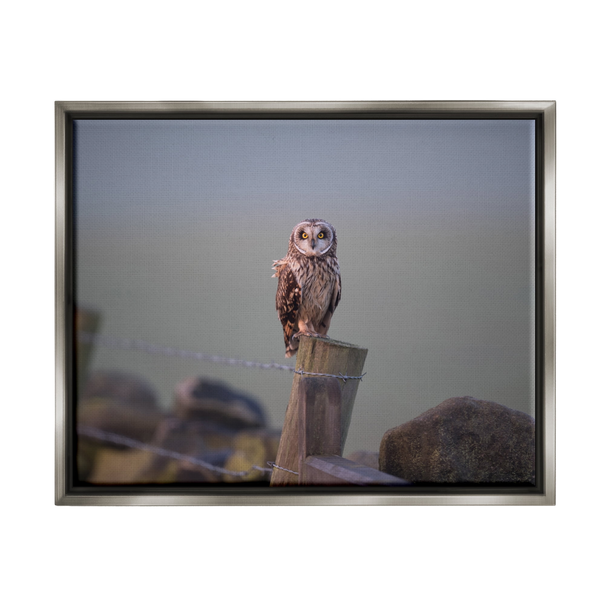 Stupell Industries Intensely Gazing Owl Perched Rural Fence Post Photograph Luster Gray Floating Framed Canvas Print Wall Art, Design by James Dobson