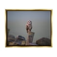thumbnail image 1 of Stupell Industries Intensely Gazing Owl Perched Rural Fence Post Photograph Metallic Gold Floating Framed Canvas Print Wall Art, Design by James Dobson, 1 of 6