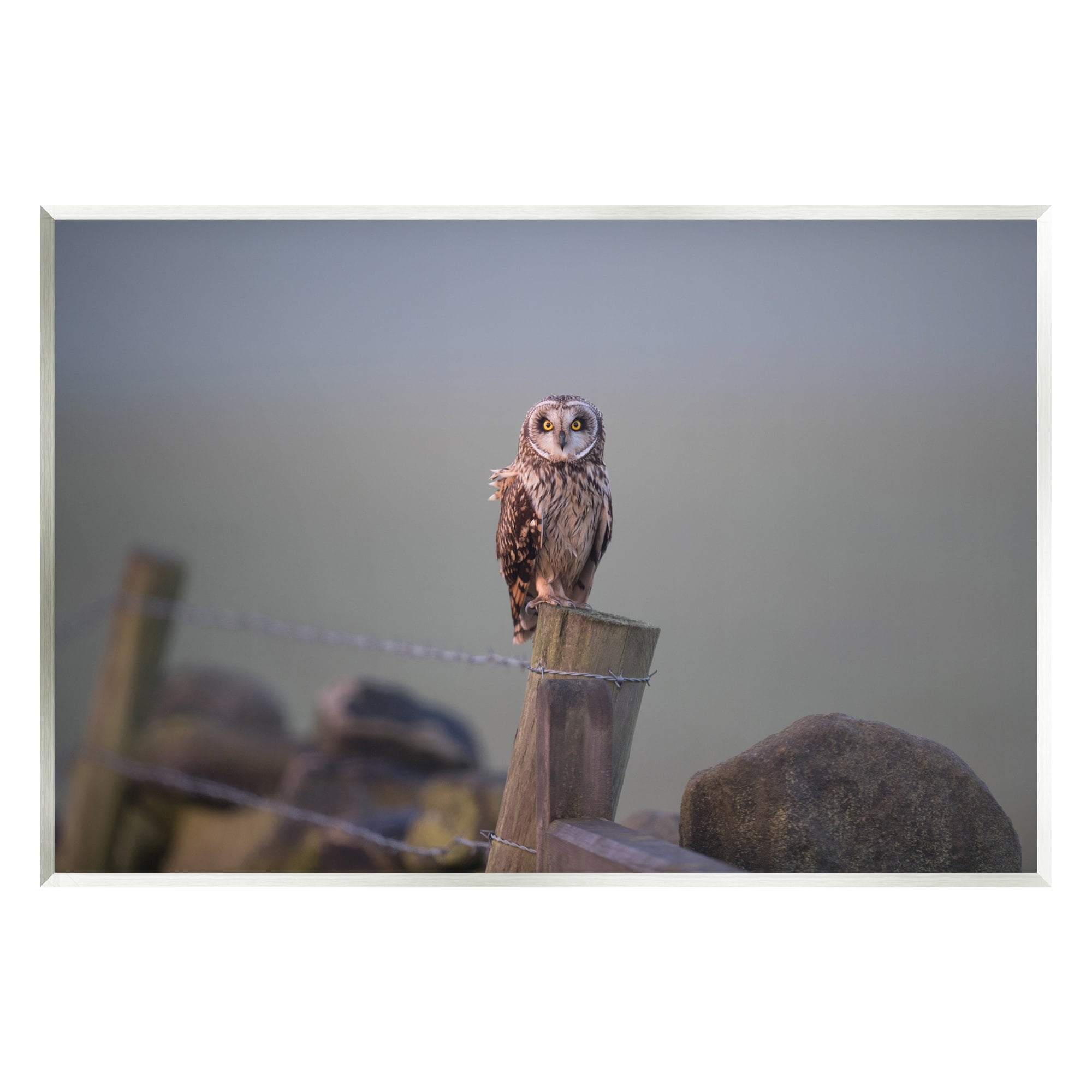 Stupell Industries Intensely Gazing Owl Perched Rural Fence Post Photograph Unframed Art Print Wall Art, Design by James Dobson