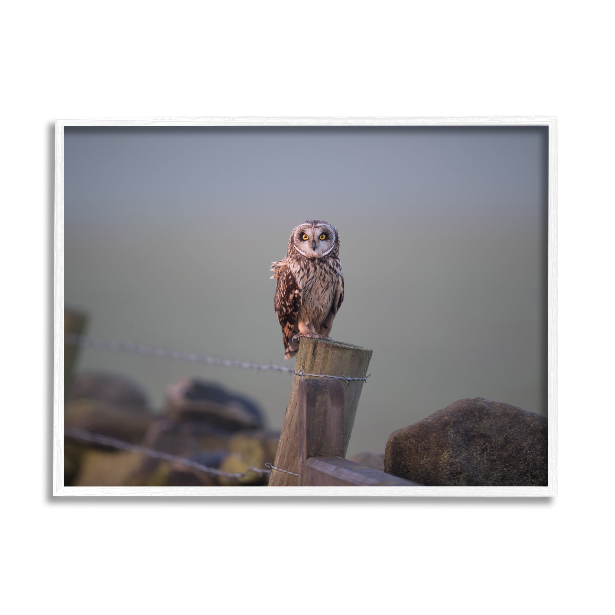Stupell Industries Intensely Gazing Owl Perched Rural Fence Post Photograph White Framed Art Print Wall Art, Design by James Dobson