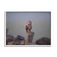 thumbnail image 1 of Stupell Industries Intensely Gazing Owl Perched Rural Fence Post Photograph White Framed Art Print Wall Art, Design by James Dobson, 1 of 8