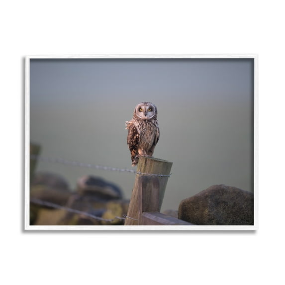 Stupell Industries Intensely Gazing Owl Perched Rural Fence Post Photograph White Framed Art Print Wall Art, Design by James Dobson