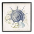 thumbnail image 1 of Stupell Industries Intricate Conch Seashell Drawing Layered Coral Botanicals Graphic Art Black Framed Art Print Wall Art, Design by Victoria Barnes, 1 of 5