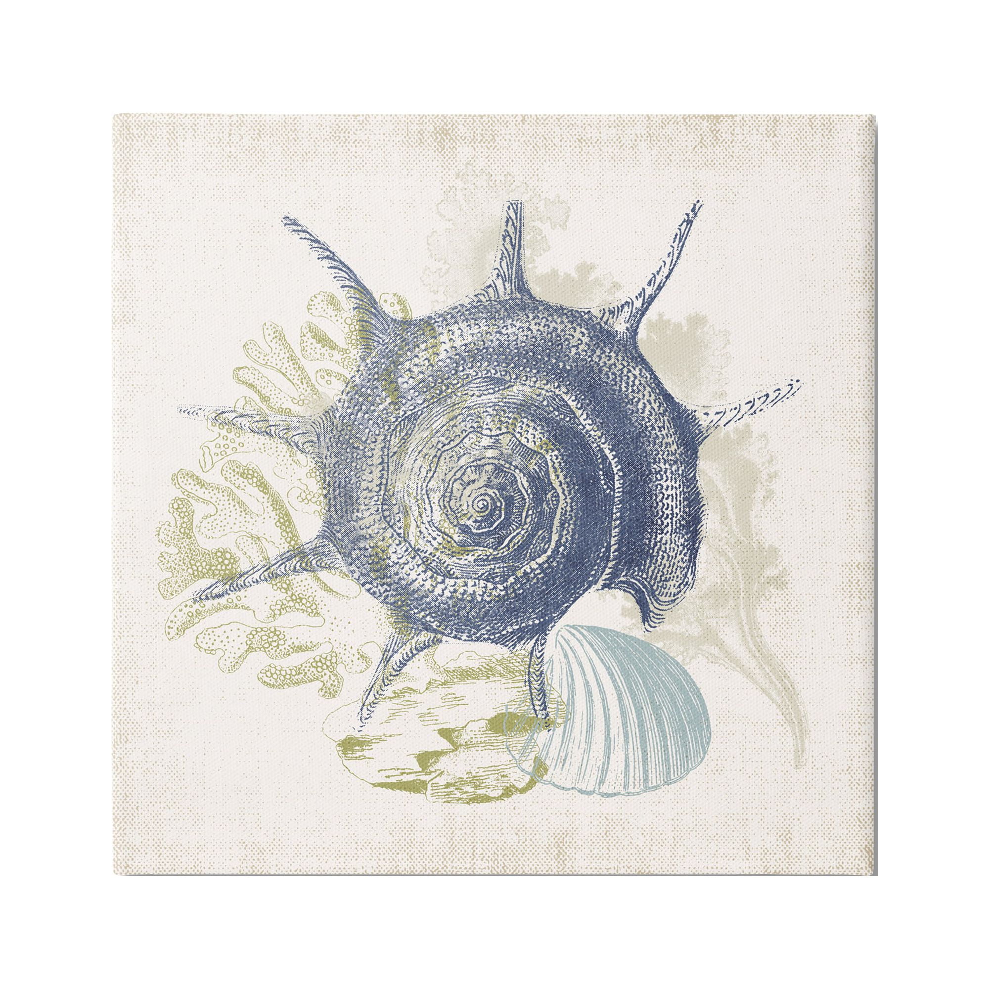 Intricate Conch Seashell and Coral Canvas Wall Art, 24 x 24