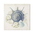 thumbnail image 1 of Stupell Industries Intricate Conch Seashell Drawing Layered Coral Botanicals Graphic Art Gallery Wrapped Canvas Print Wall Art, Design by Victoria Barnes, 1 of 7