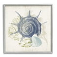 thumbnail image 1 of Stupell Industries Intricate Conch Seashell Drawing Layered Coral Botanicals Graphic Art Gray Framed Art Print Wall Art, Design by Victoria Barnes, 1 of 5