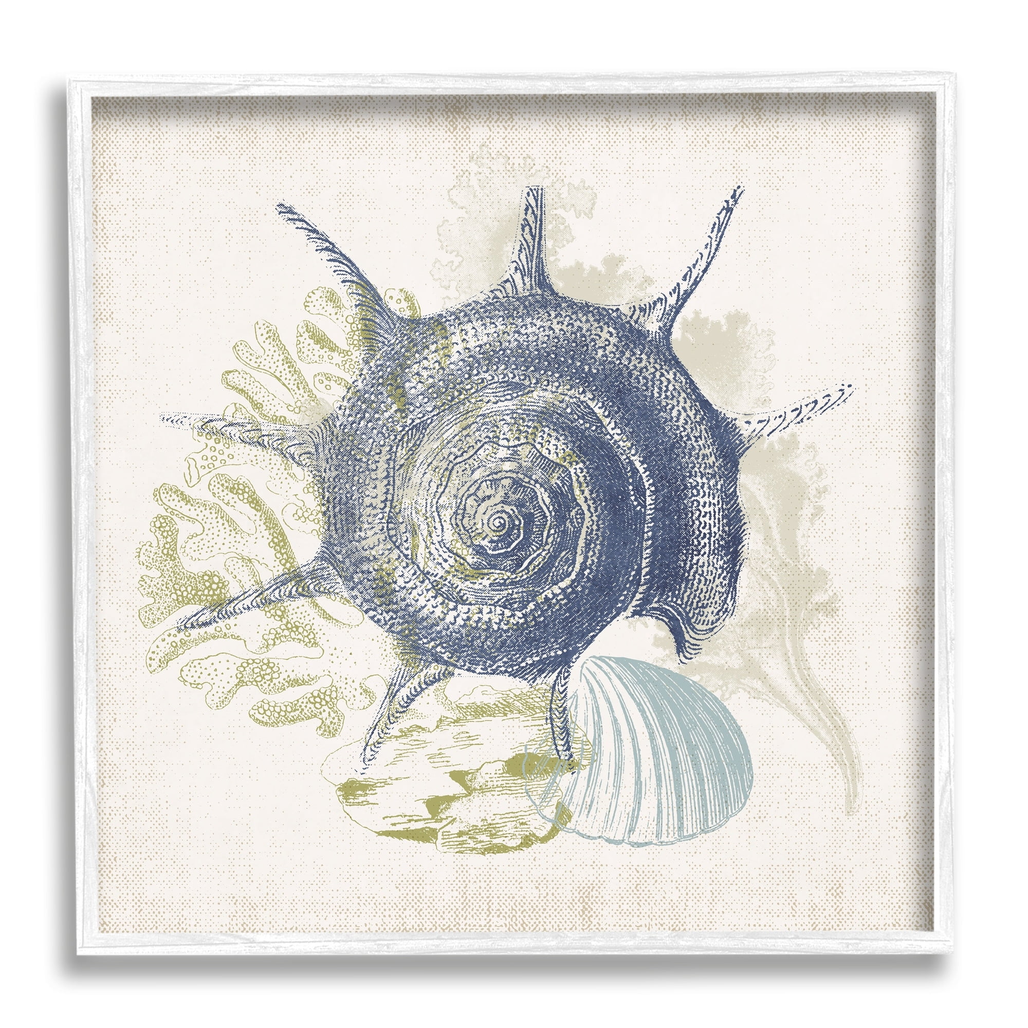 Stupell Industries Intricate Conch Seashell Drawing Layered Coral Botanicals Graphic Art White Framed Art Print Wall Art, Design by Victoria Barnes