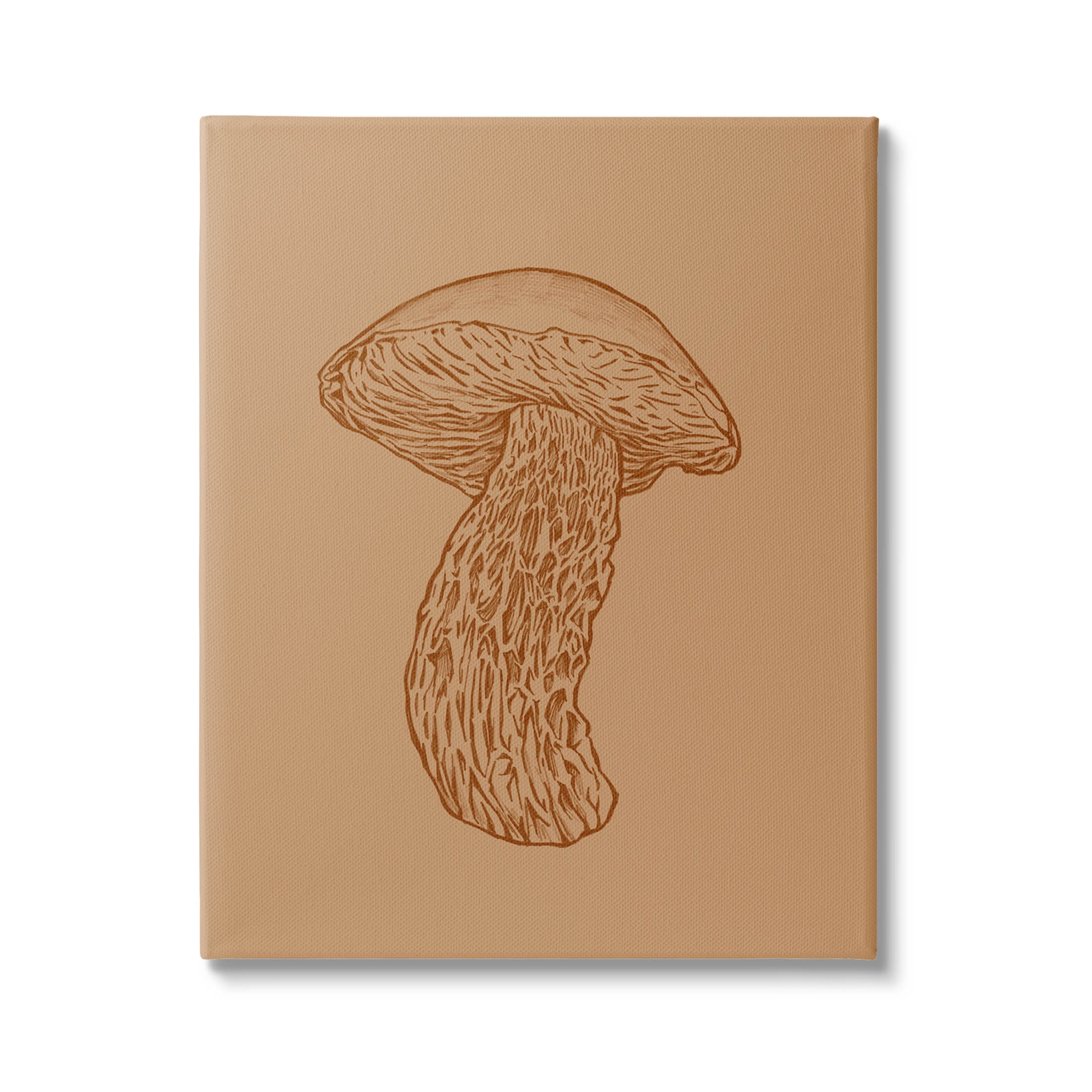 Stupell Industries Intricate Mushroom Nature Study Graphic Art Gallery Wrapped Canvas Print Wall Art, Design by Ziwei Li