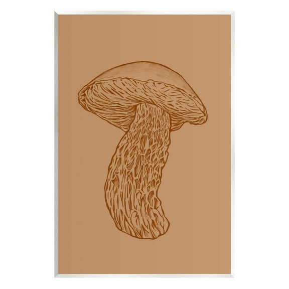 Stupell Industries Intricate Mushroom Nature Study Graphic Art Unframed Art Print Wall Art, Design by Ziwei Li