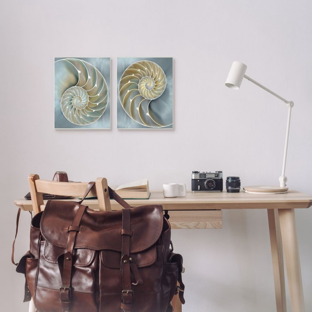 Stupell Industries Intricate Nautilus Interior Natural Geometric Design Framed Wall Art Design by Caroline Kelly, 2 Piece, 11" x 14", Black Framed