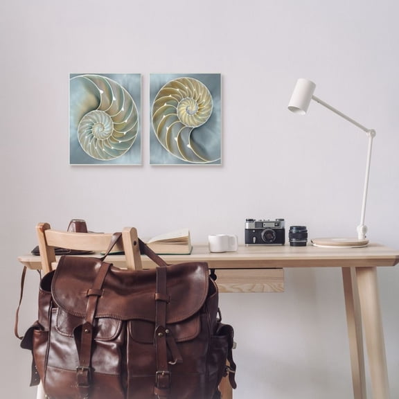 Stupell Industries Intricate Nautilus Interior Natural Geometric Design Framed Wall Art Design by Caroline Kelly