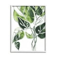 thumbnail image 1 of Stupell Industries Intricate Palm Vines Unique Green Leaves Graphic Art Framed Art Print Wall Art, 24x30, By June Erica Vess, 1 of 7