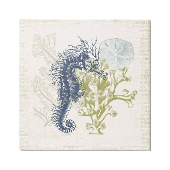 Stupell Industries Intricate Seahorse Overlay Sand Dollar Coral Botanicals Graphic Art Gallery Wrapped Canvas Print Wall Art, Design by Victoria Barnes